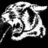 Pixelated grayscale tiger head on black background with red text overlays reading 'Cape', 'Cougars', and ''07 RAWR!' in white block letters.