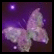 Animated sequence showing a purple butterfly with translucent wings against dark background, accompanied by scattered glowing pink starbursts.