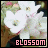iconhell_faintintensity_blossom