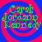 Four identical circular icons arranged in a , each with red and blue spiral backgrounds and green text reading 'Carah Jordan Kennedy' on top