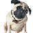 Pixelated pug images arranged in a with pink text reading "I love pugs!" on the right side