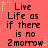 A static image with a red background displays the text "Live Life as if there is no 2morrow" in black pixelated font, surrounded by green and brown star-shaped decorations.