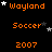 Pixelated orange text and white stars on black background, with repeated 'Wayland', 'Soccer', and '2007' text elements arranged in a pattern