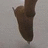 A pixelated image shows a brown shoe on a light background with pink text reading "Toe Pick" on the right side.