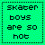 Green pixelated square with black dotted border containing four lines of black blocky text reading 'skater boys are so hot'.