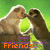 Two monkeys face each other in a heart-shaped frame against green background, with orange text below reading 'Friends Make Life Worth Living' across six