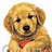 Pixelated golden retriever puppy wearing red collar on white background, next to orange with black text