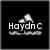 Black background with white Adidas logo above text reading 'Haydn c' and blurred lower text, transitioning to 'Loves' and 'Adidas' in subsequent frames.