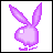 Pixelated bunny head icon with changing colors across a of , each frame showing distinct hue variations from purple to pink