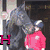 A horse and rider in a stable, with a pink 'H' on the left and a pink 'J' on the right, transitioning from a side view to a front view.