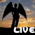 Silhouette of a figure with outstretched wings against a sunset sky, palm trees on a beach, and hands forming a heart shape with a glowing center.
