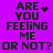 Purple background with green pixelated text reading 'ARE YOU FEELING ME OR NOT? OR NOT?' and animated heart/particle effects.