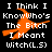Black background with white pixelated text reading "I Think I KnowWho's The Bitch I Meant Witch(L.S)" and an orange pixelated witch silhouette in motion.