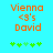 Pixelated orange text 'Vienna <3's David' on cyan background with green plus symbols below, two identical frames side-by-side.