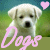 nine identical dog images with pink 'Dogs' text and heart symbols, each showing a light-colored puppy on green grass background