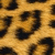 Leopard print pattern with irregular dark brown spots on a light tan background, displayed in a
