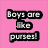 Pink background with black-outlined white text reading "Boys are like purses!" and "Cute, Full of Crap, and can always be replaced!" alongside a pink lips graphic.