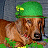 A pixelated image of a dog wearing a green hat with a yellow shamrock, next to green text reading "Original Icons .com" on a dark background.