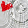 Red heart-shaped icon with textured appearance on left side of silver-toned circular background with concentric rings and vertical lines.