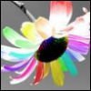 A static icon featuring a central dark oval surrounded by radiating, multicolored, blurred petal-like shapes in green, yellow, red, purple, and cyan against a gray background.