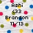 Pixelated icon with black text reading 'Ashi (33 Brandon 11/13' over a background of scattered colored dots.