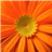 A pixelated sunflower with a yellow center and orange petals radiating outward against a gradient orange background.