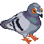 Pixelated pigeon with gray body, white wing stripe, orange eyes and feet, black beak, standing on light gray background.