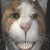 A pixelated cartoon cat face with a wide grin on the left, next to brown background text reading "BE HAPPY :)" in white block letters on the right.