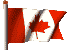 Animated contact sheet of Canadian flag frames showing sequential waving motion on a gray background.