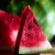 Pixelated watermelon slice with red flesh, black seeds, and green rind against blurred green background.