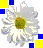 Animated flower icon with gray petals, yellow accents, and a brown center surrounded by blue and yellow squares on white background.