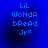 Blue background with pixelated text reading 'LiL WoNdA bReAd Jr*'.
