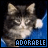 A 4x4 contact sheet of a 48x48 pixel animated icon featuring a tabby cat with white paws and blue background, showing sequential frames of the cat's eyes opening from closed to fully open.