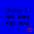 Blue background with repeated black text 'Baby I Will Wait For You' and red pixelated hearts in a