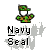 Pixelated icon of a figure in camouflage attire with a green and brown cap, white face, and outstretched arms, below text reading Navy Seal.