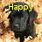 Animated buddy icon with a black dog and yellow text reading 'Happy Halloween' on a pixelated background.
