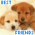 Animated sequence of two puppies with text variations above and below them, showing pixelated blue lettering changes across frames.