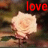 iconhell_mirrastarr_loveeeee