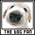 Pixelated close-up of a dog's face with large dark nose, light fur, and floppy ears inside black border; text below reads THE DOG FAN.