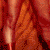 A 2x2 contact sheet of four animated frames showing a woman in red outfits with visible cleavage and body curves, set against an orange background.