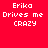 Four pixelated text display 'Erika Drives me CRAZY' in white on red, dark red, dark purple, and maroon backgrounds