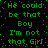 Green pixelated text on black background repeats 'He could be that Boy I'm not that Girl' in two with dotted border