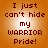 Four identical pixelated text on an orange gradient background with the phrase "I just can't hide my WARRIOR Pride!" in dark red lettering