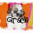 A small dog with brown and white fur sits against an orange and pink background with the text 'Gracie' overlaid in black letters.