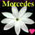 Static image of white flower icons with pink hearts on black background, overlaid with yellow text variations.