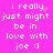 A bright pink background displays white pixelated text reading "i really just might be in love with joe :)" with small animated sparkles appearing near the top-right of the text.