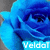 A blue rose with layered petals and a central eye-like detail, overlaid with the text "Veldat" in light blue on a darker blue banner.