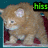A pixelated orange kitten with white markings stands on a red surface against a teal background, its head turning left to right across frames.