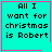 Four identical cyan squares with pink borders display pixelated text reading 'All I want for christmas is Robert' and contain small animated symbols.