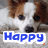 A dog with brown and white fur appears in four with blue text overlays reading Happy, The, Papillon, and a blank space